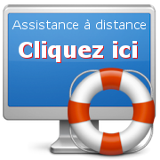 Assistance &agrave; distance